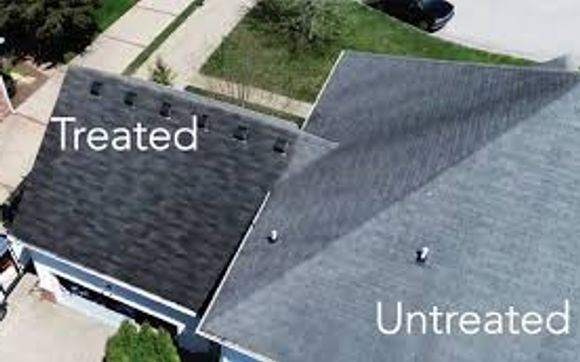 Roof Rejuvenation by Roof Maxx - House & Home Magazine